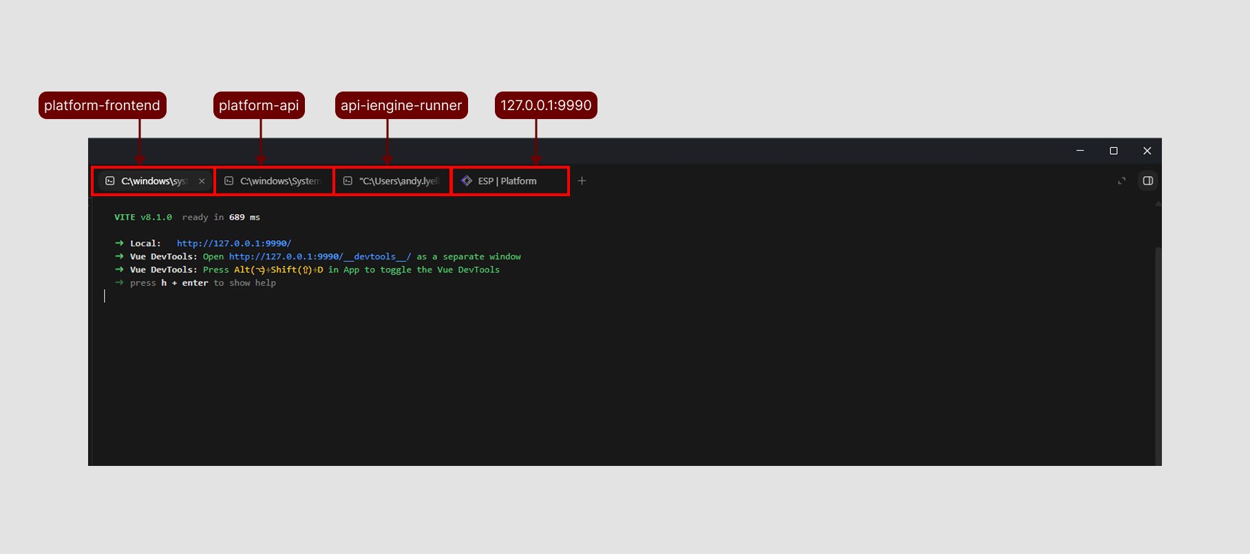 Codex terminals and integrated browser configured for local Platform development